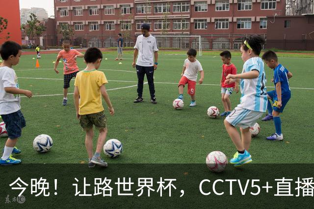 今晚！让路世界杯，CCTV5+直播中国女排VS法国，小将领衔冲击5连胜