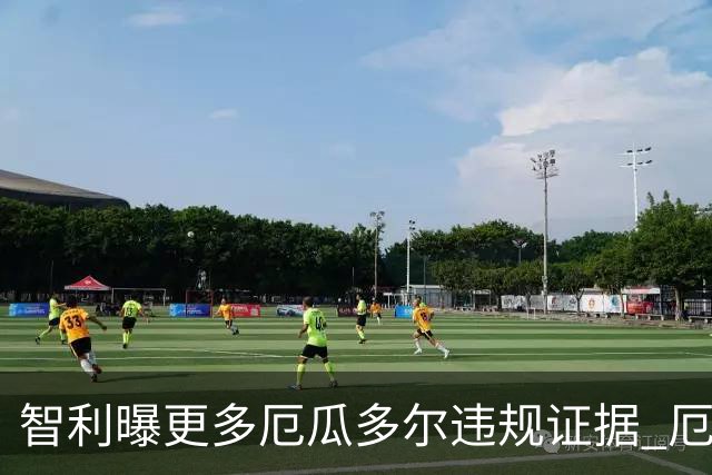 智利曝更多厄瓜多尔违规证据 厄世界杯资格或被取消