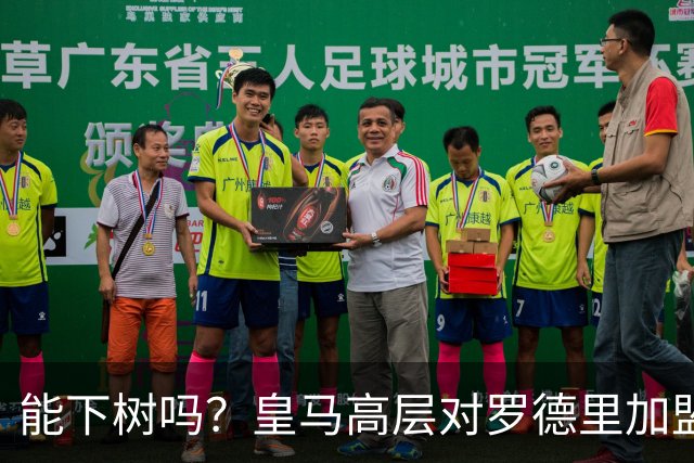 能下树吗？皇马高层对罗德里加盟心存疑虑，赞助商和球迷极力支持