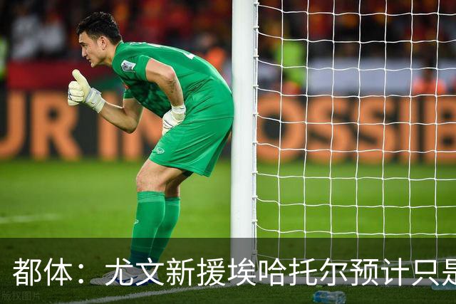 都体：尤文新援埃哈托尔预计只是肌肉不适，问题不大