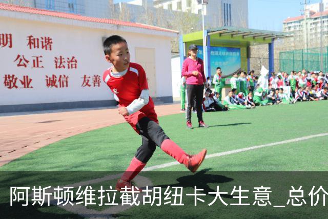 阿斯顿维拉截胡纽卡大生意 总价7000万欧抢签曼赞比