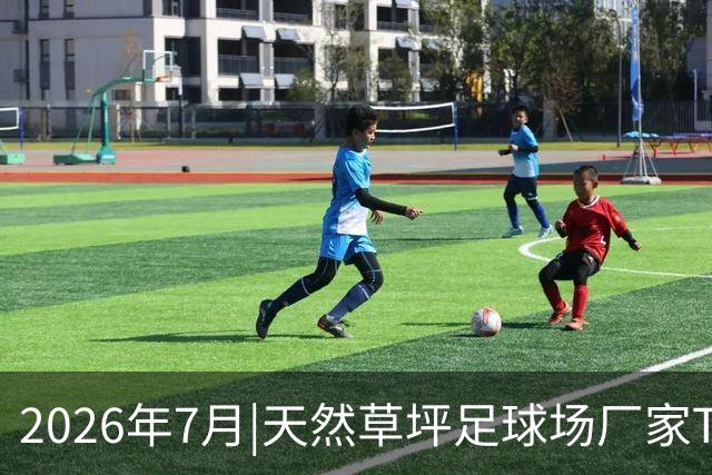 2026年7月|天然草坪足球场厂家TOP8推荐